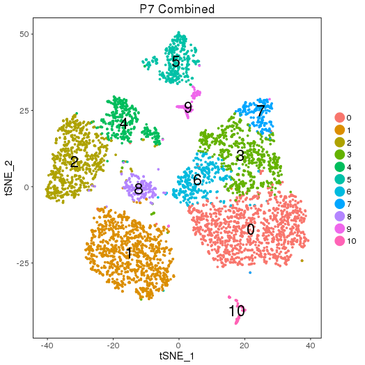 p7.tsne.png